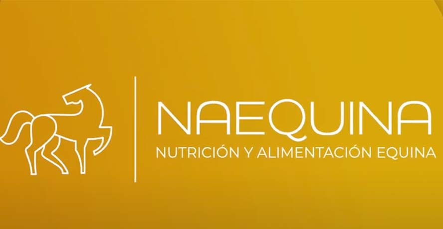 Imagen de video de youtube